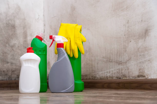 Best Black Mold Removal  in Cuero, TX